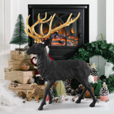 Wadi Deer Rust Resistant Aluminum Garden Statue