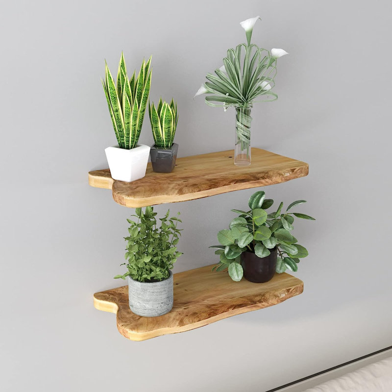 Abercorn 2 Piece Floating Shelf