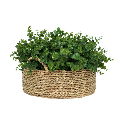 12" Eucalyptus in Natural Seagrass Basket