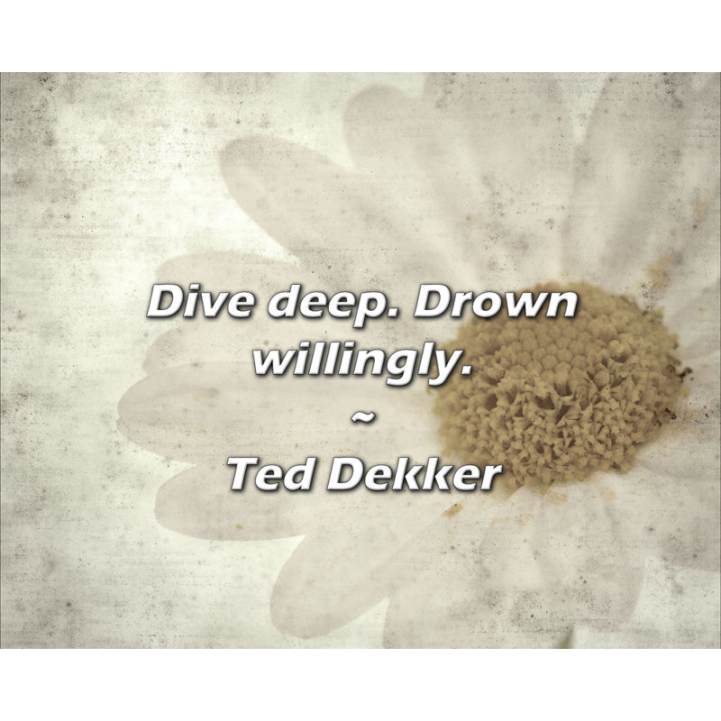 Ted Dekker Quote: Dive deep. Drown willingly.