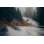 Pacific Northwest Forest par Timnewman