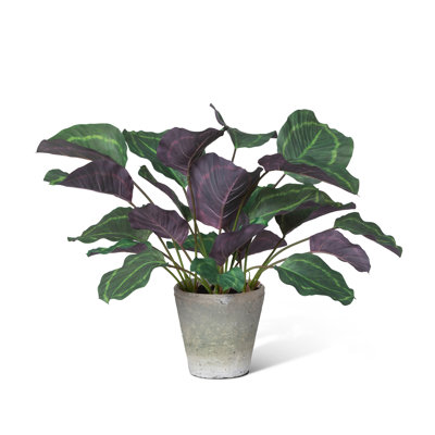 Faux Prayer Plant Plant in Pot