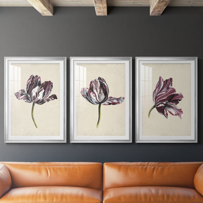 Antique Tulip Study I  -Custom Framed  Premium Print W Matt - 3 Pieces