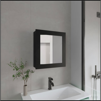 Medicine Cabinet 20.5" H, With 2 Shelves, 1 Door, And 1 Mirror, Black