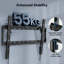 1Home Single Screen Wall Mount