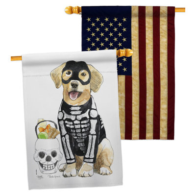 Double Sided 40'' H x 28'' W Polyester Halloween House Flag