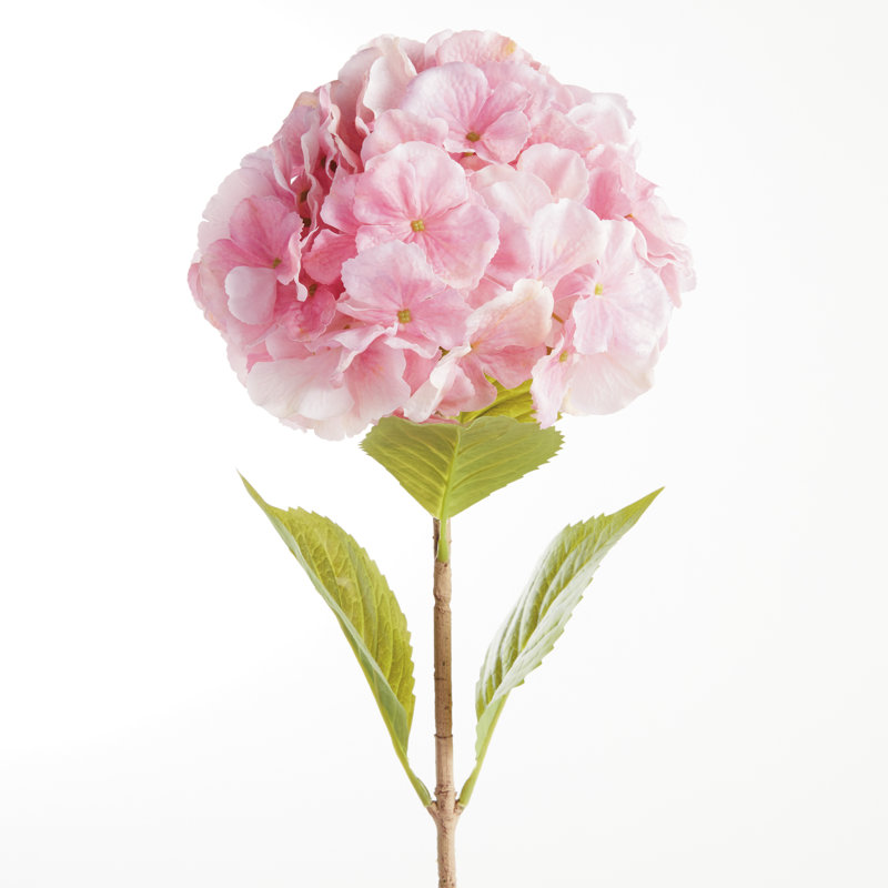 TIGES MOPHEAD HYDRANGEA 30,5 po, Rose