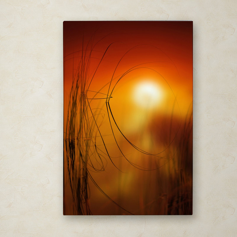 « nature time machine », reproduction de photo sur toile tendue encadrée, H 19 po x l 12 po x P 2 po