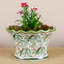 Fern Handmade Ceramic Planter