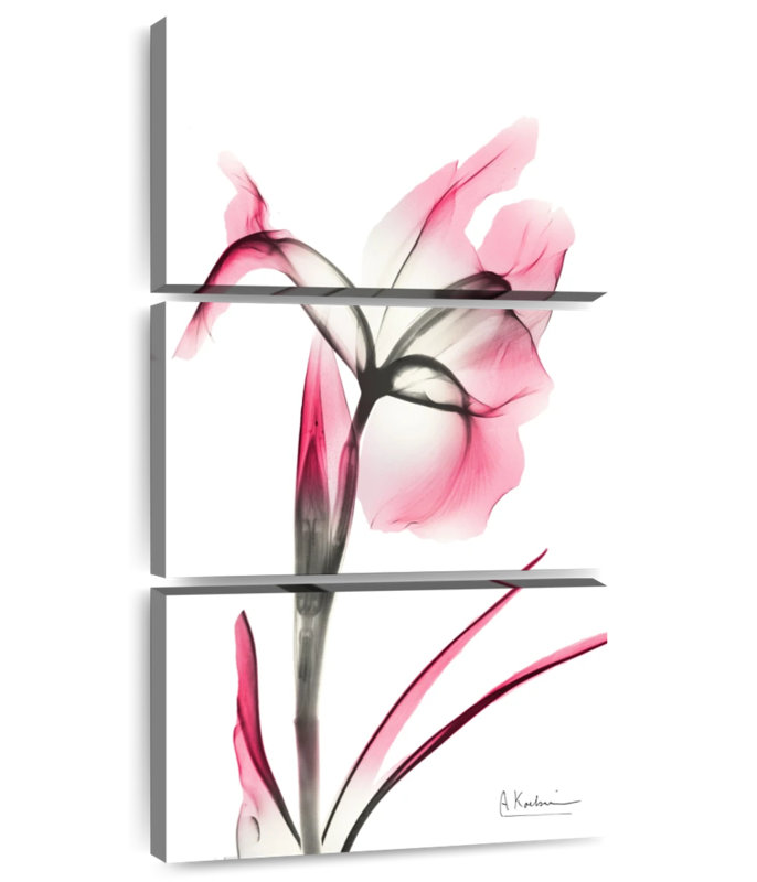 Iris rose infusé II, H 52 po x l 24 po