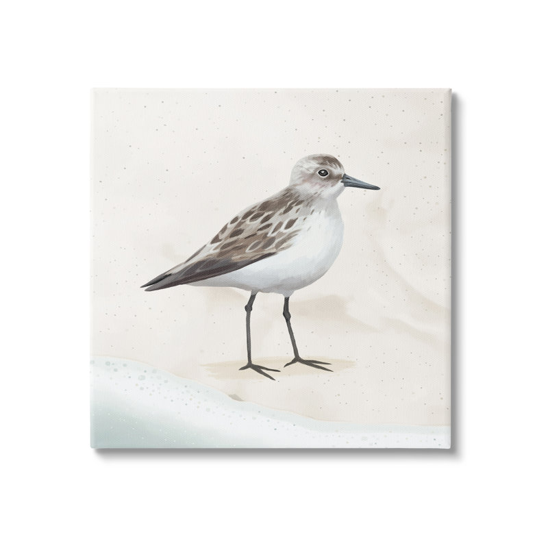 «Sandpiper Bird at Water's Edge Beach Shoreline» par Lucca Sheppard - impression sur toile tendue