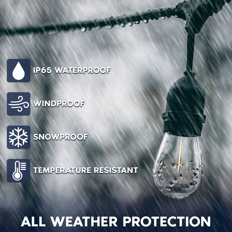 Outdoor 1 - Bulb 48'' Plug-in LED String Light