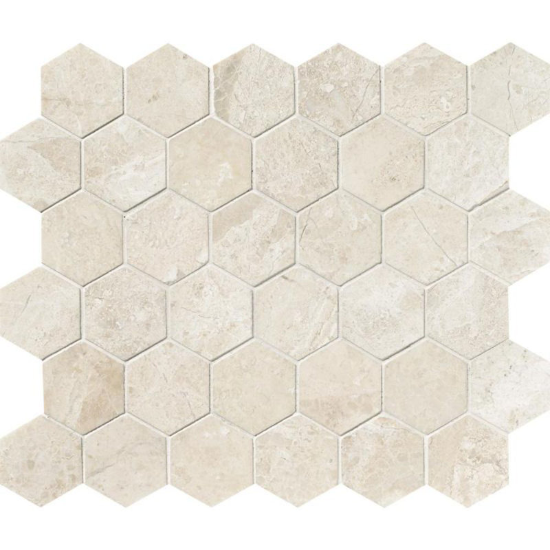 Mur de mosaïque en marbre 2 po x 2 po et carreaux de sol