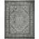 Amedee Performance Oriental Rug