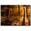 « matinée light », reproduction de photo sur toile-15283528