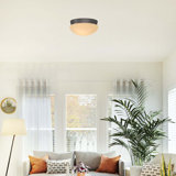 Troy Glass Semi Flush Mount