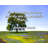 Fleur De Lis Living Gallery Wrapped Canvas By Andrew Scott: "Find out who you are and try not to be afraid