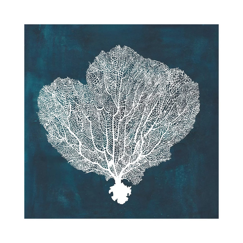 Inverse Sea Fan I by Grace Popp - Wrapped Canvas Print, 45.72 cm H x 45.72 cm W x 3.175 cm D