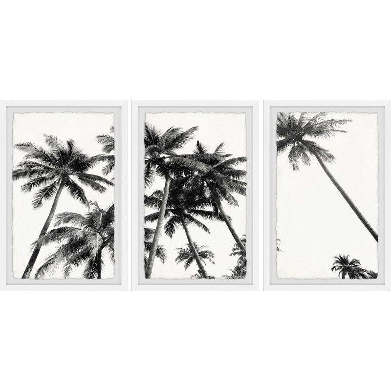 Coco Palm Trees par Marmont Hill - ensemble de 3 photos encadrées, H 18 po x l 12 po x P 1,5 po