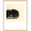 Copse Print by Peter Dušek-983762365-983762354