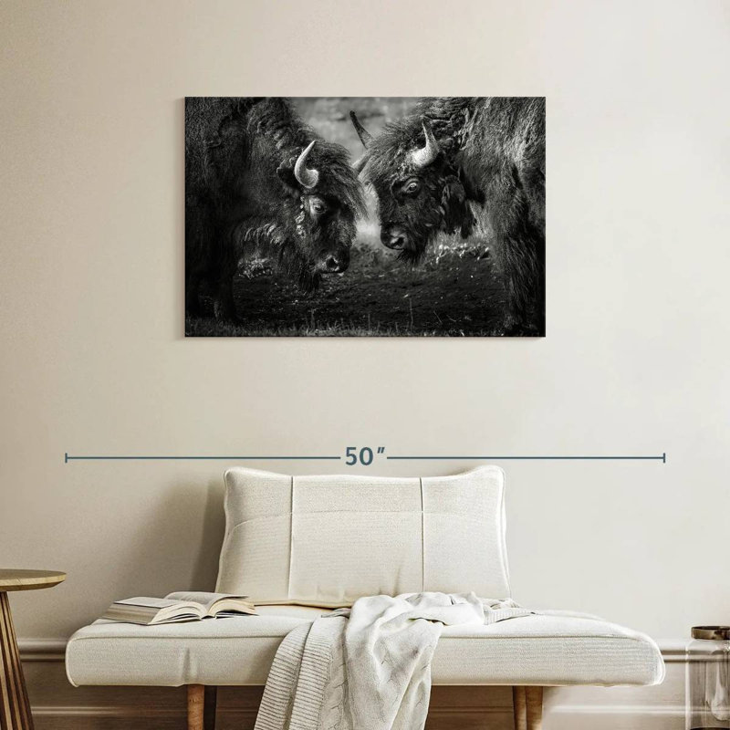 Brampt Bisons Head To Head, 24" H x 36" W
