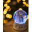 Christmas Snow Globe