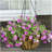 Tingsley Hanging Planter-1130543857-1130543856