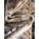 Arloa Oriental Indoor Rug