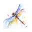Dragonfly - Painting on Canvas-1617461352-1639345280