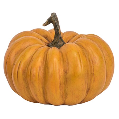 Pumpkin | Wayfair