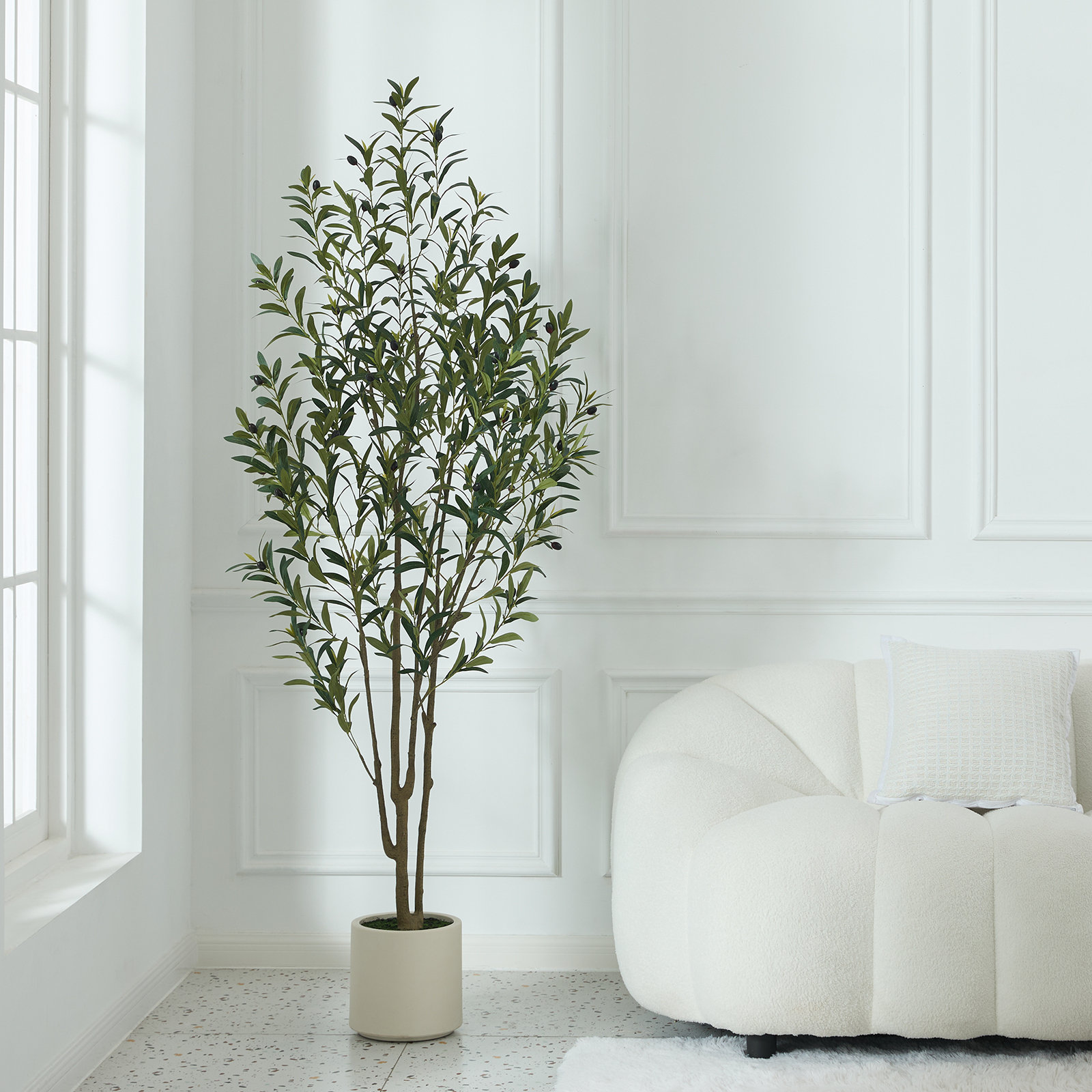 George Olive Tree in Planter, 72" H x 24" W x 24" D