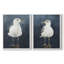 «Night Gull I», reproduction encadrée de qualité supérieure - prête à être accrochée - aucun clou requis - aucun clou requis-1853487487-1853487432