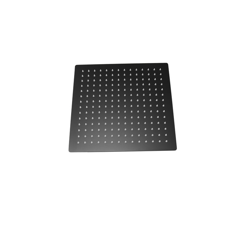 Rain Fixed Shower Head 2.0 GPM GPM