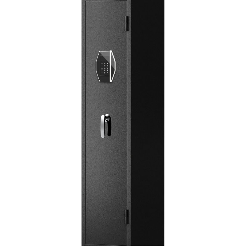 Sécuritaire pour les fusils et les pistolets - casier en métal avec accès rapide, cloison amovible, 2 supports réglables et fonction de sécurité, protection contre le vol