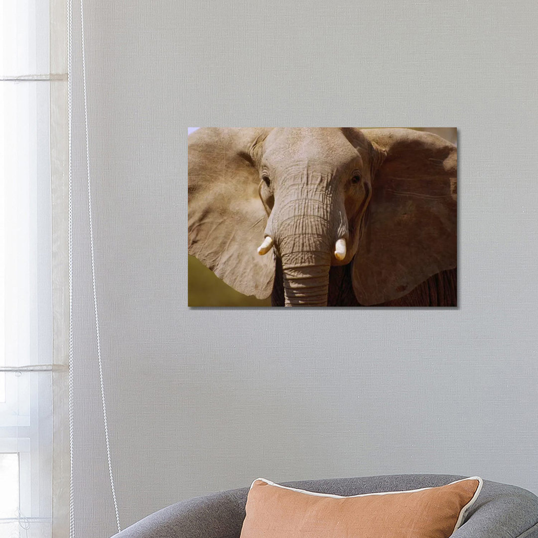 African Elephant Close Up, Amboseli National Park, Kenya by Gerry Ellis - Wrapped Canvas Print