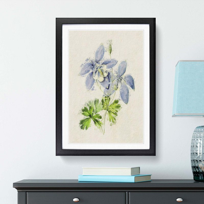 Illustration of Columbine Flowers - Picture Frame Painting Print, Black Framed, 65cm H x 48cm W x 2cm D
