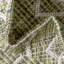 Tapis intérieur / extérieur vert / beige Adley Southwestern-217870503
