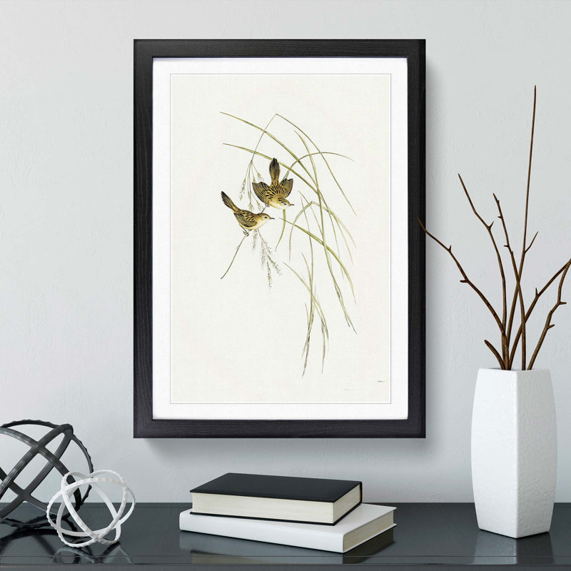 Lineated Warbler by Elizabeth Gould - Picture Frame Painting Print, Black Framed, 36cm H x 27cm W x 2cm D