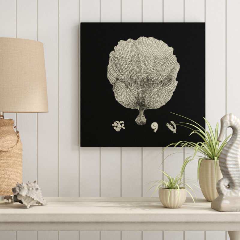 " Black and Tan Coral II " Acrylic Print, 36" H x 36" W