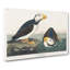 Atlantic Puffins - Wrapped Canvas Painting-55367533