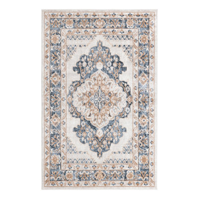 Oriental Indoor Rug