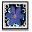 «Black and Bloom III», reproduction de peinture à l'huile-29160879-33459224