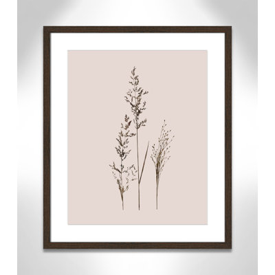 Delicate Stems I by Carol Robinson - Single Picture Frame Print -  Birch Lane™, DD74A64B91DF4A79B8D83DDFD4655622