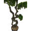 Bonsai Tree in Resin Planter