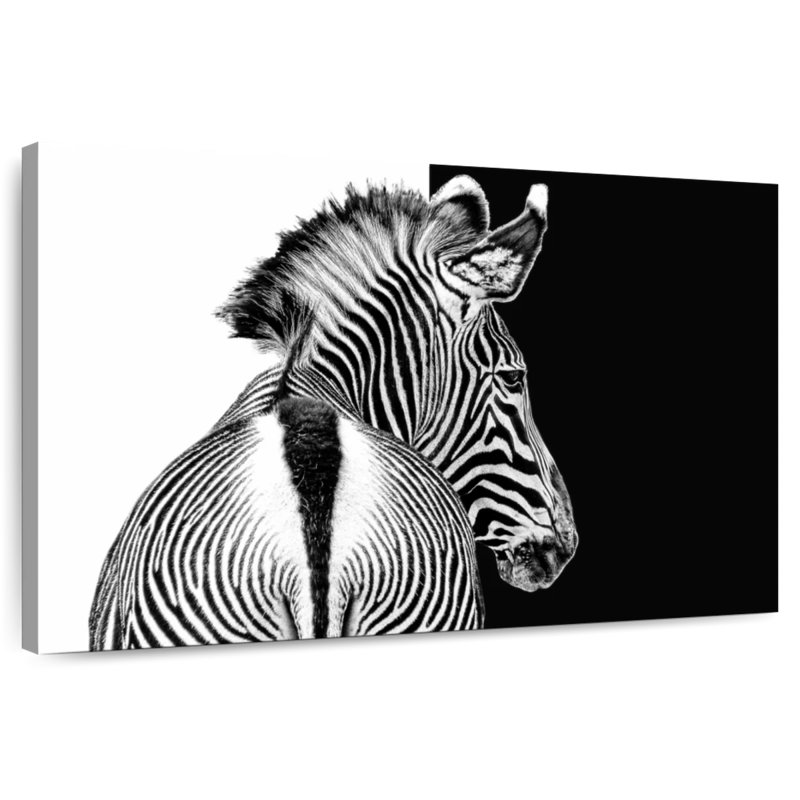 Brampt Zebra Contrast, 30" H x 45" W