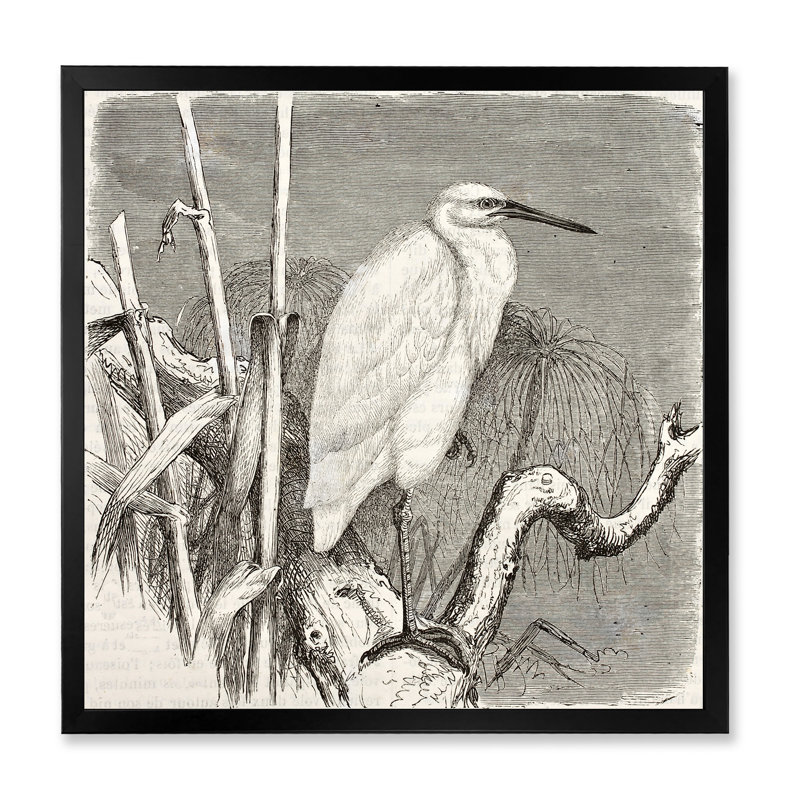 «Little Egret Bird», reproduction de cadre photo sur toile, Cadre noir, H 30 po x l 30 po x P 1 po