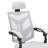 Juliet Home Office Ergonomic High Back Mesh Executive Chair, Computer Desk Chair with Lumbar Support-1085486703
