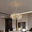 8 - Light Chandelier