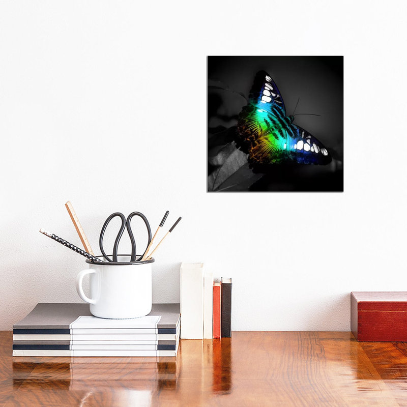 Colourful Butterfly Photographic by Unknown Artist - Wrapped Canvas Painting, 30.48 cm H x 30.48 cm W