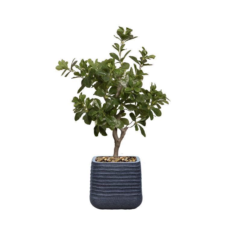 Arbre à fleurs 38,57 po Tung, Noir